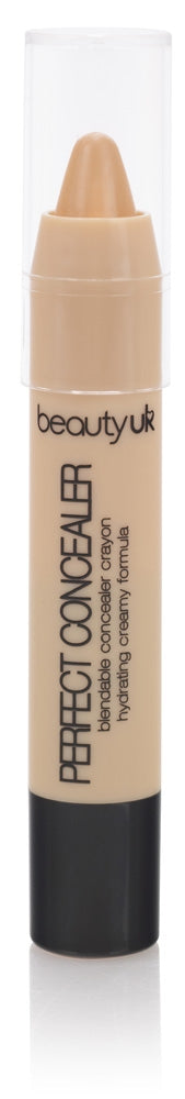 Perfect Concealer