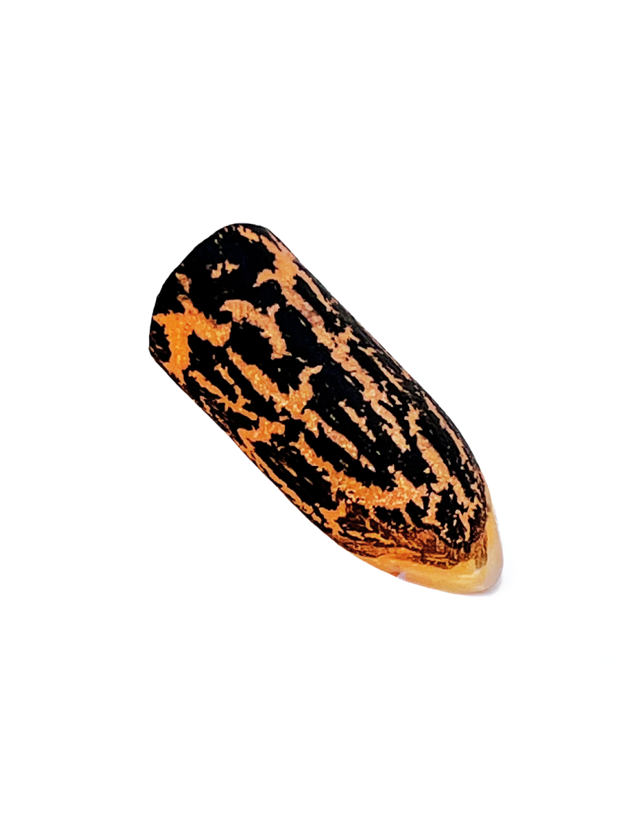Wild Thing Nail Polish Leopard